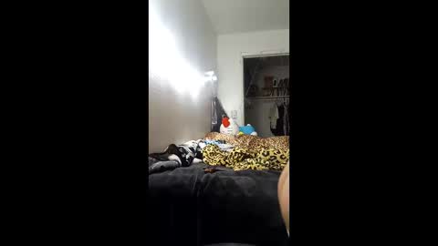 luvci19 stream preview