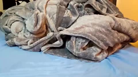 luvtoess777 stream preview