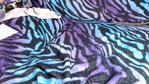 lyke2fuck live stream