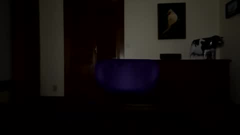 lyleblue92 stream preview