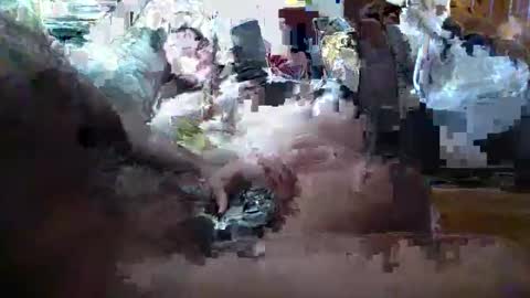 maestr069 live stream