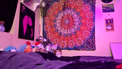 maevedotexe stream preview