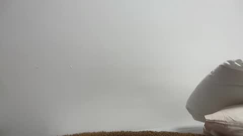 maikel61 stream preview