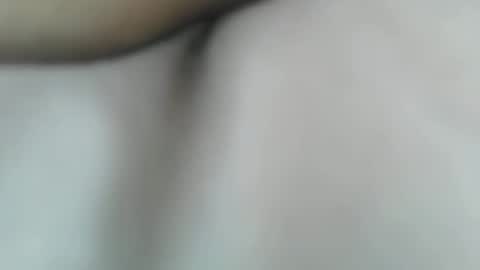 margotshorse stream preview