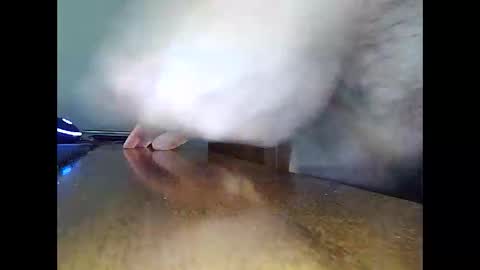 masturbateactor stream preview