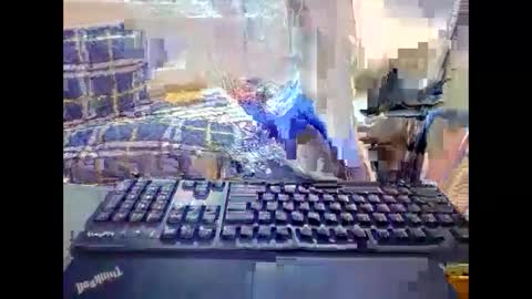 meimei_888 live stream