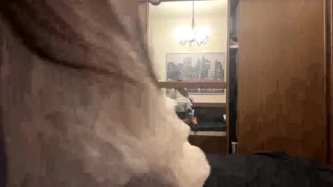 melissalionetti live stream