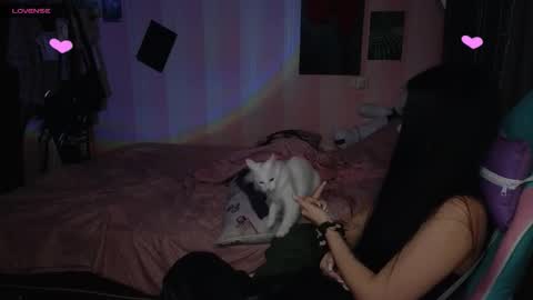 mella_freya live stream