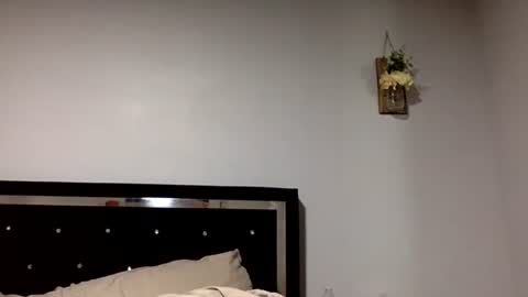 mferrera3125 stream preview