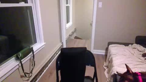 miamak stream preview