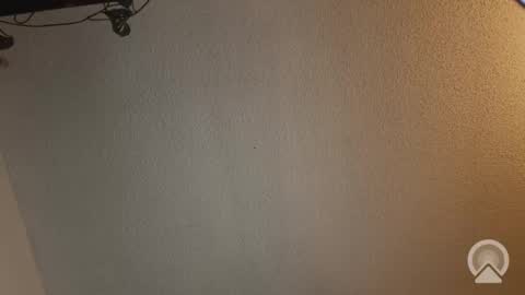 missdivinediva stream preview