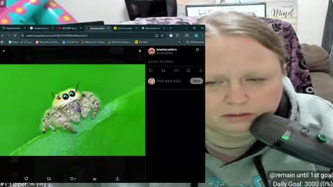 misskimberbbw stream preview