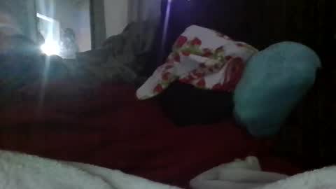 misst1221 live stream