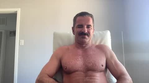 mitchcox live stream