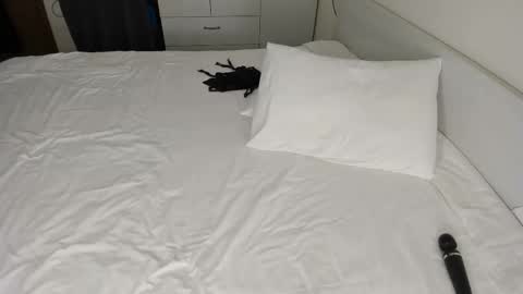 moonari live stream