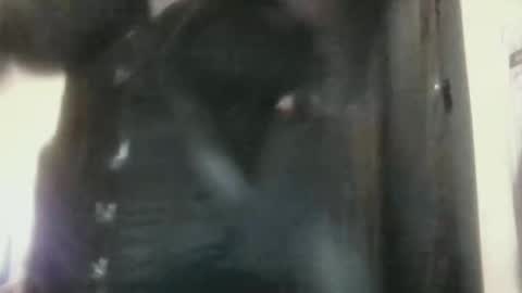 moxxxieg stream preview