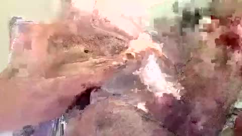 mrdark01 live stream