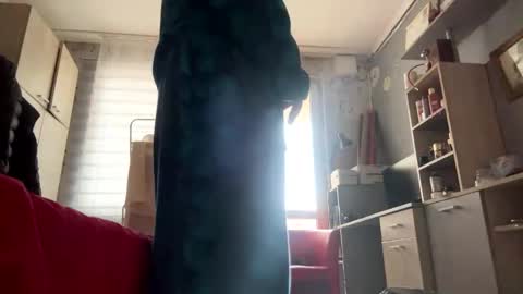 murdasambista1312 stream preview