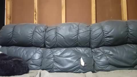 myleshodges stream preview