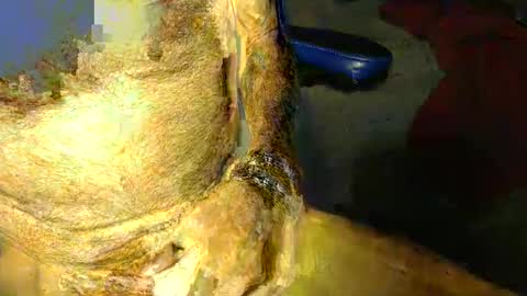 nicesmile3k stream preview