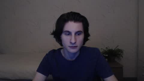 night__wolf stream preview