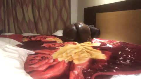 nilephoenix stream preview