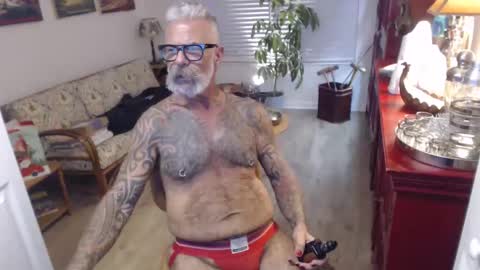 njdbear stream preview