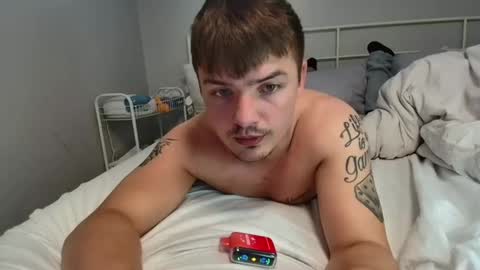 notoribliss stream preview