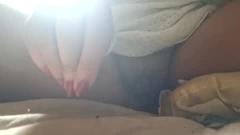 o0vicko0o stream preview