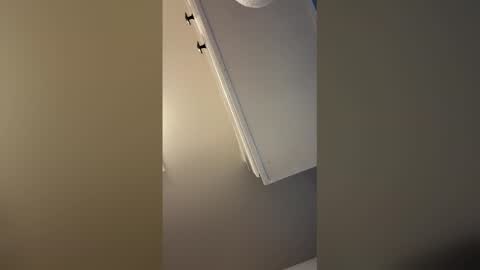 obeythedoll live stream