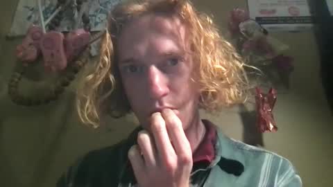 octopunani live stream