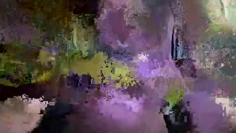 ogyummii stream preview