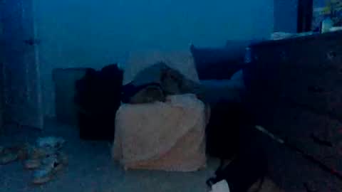 ojutaitheomnimous stream preview