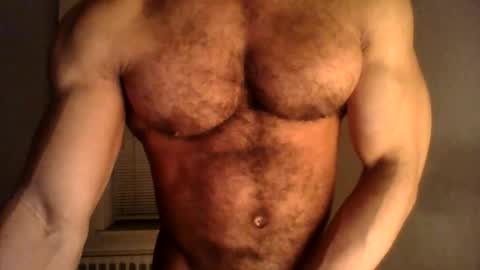 orderbringer stream preview