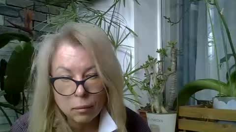 owl35 stream preview