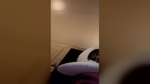 padenj25 stream preview