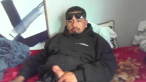 papilos25 live stream