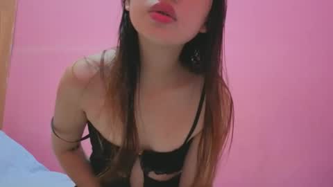 paume561662 stream preview