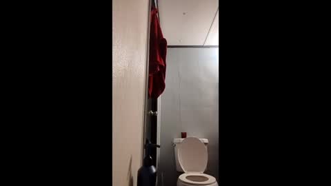 paws4203 stream preview