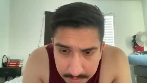 pdicke123 live stream