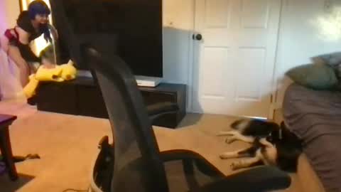 peachypchan live stream