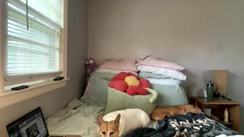 pegggggysue69 live stream