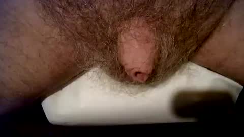 peterpeteropoulos live stream