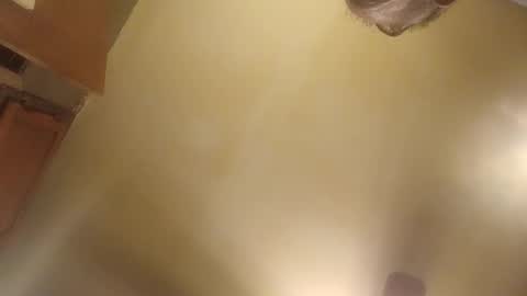 playfelacio live stream