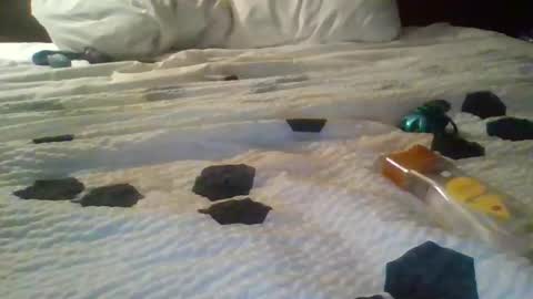 pnasty76012 stream preview