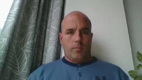 pocoyotop stream preview