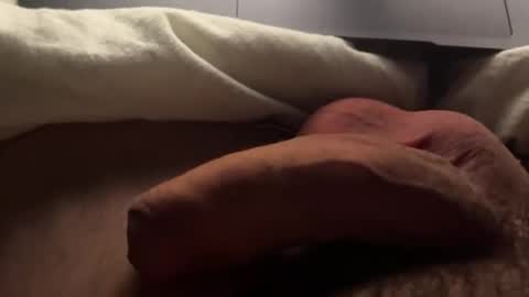 poivron2020 stream preview