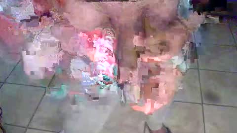 porcellobolognese live stream