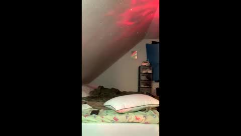 privateplayfreak stream preview