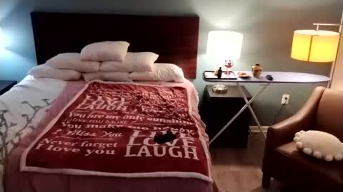 purryxbunny stream preview